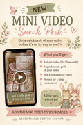 Mini video