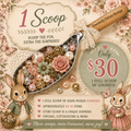 1 Bun scoop